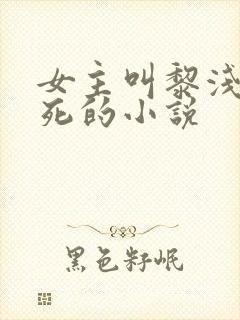 女主叫黎浅很难死的小说