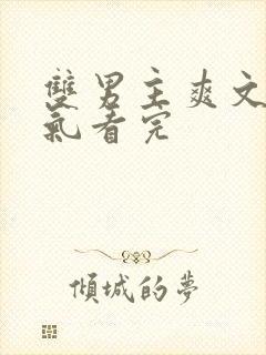 双男主爽文一口气看完