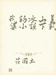 我的冰山美女老婆小说下载