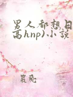 男人都想日她(高hnp)小说