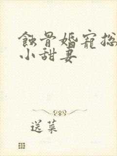 蚀骨婚宠总裁的小甜妻