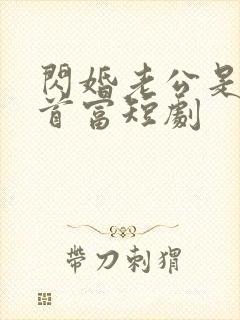 闪婚老公是千亿首富短剧