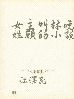 女主叫林晚男主姓顾的小说