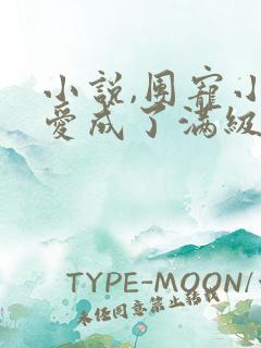 小说,团宠小可爱成了满级大佬