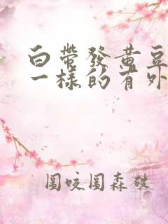 白带发黄豆腐渣一样的有外阴痒怎么治疗