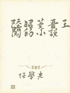 陆昭菱晋王周时阅的小说