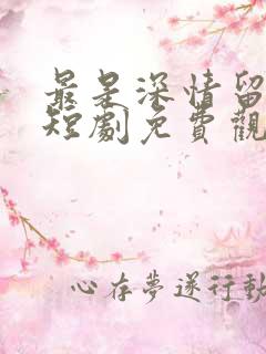 最是深情留不住短剧免费观看