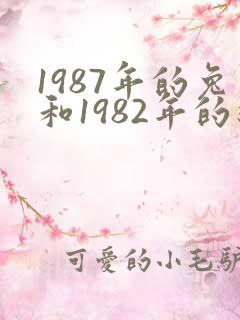 1987年的兔和1982年的狗相配吗