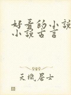 好看的小说言情小说古言