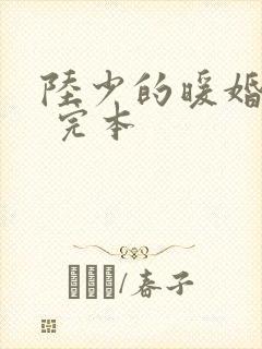 陆少的暖婚新妻 完本