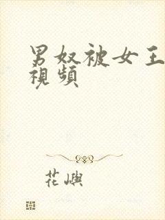 男奴被女王调教视频