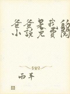 爸爸是我的父亲小说免费阅读