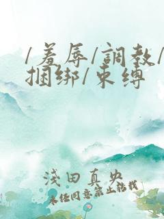 /羞辱/调教/捆绑/束缚