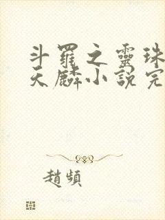 斗罗之灵珠神剑天麟小说完整版txt