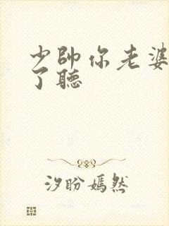 少帅你老婆又跑了听