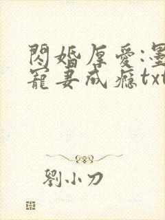 闪婚厚爱:墨少宠妻成瘾txt下载