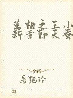 万相之王小说最新章节天蚕土豆