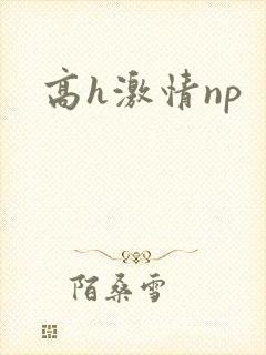 高h激情np