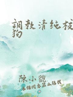 调教清纯校花母狗