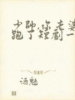 少帅,你老婆又跑了短剧一口气看完