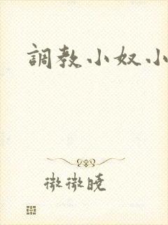 调教小奴小说