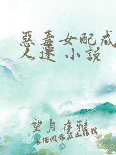 恶毒女配成了万人迷 小说