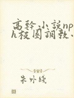 高干小说np肉h校园调教小说