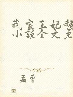 我家王妃超凶的小说全文免费阅读