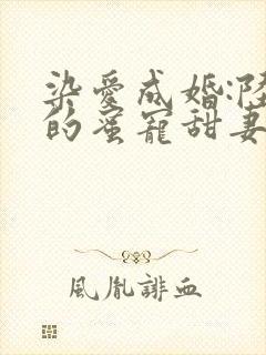 染爱成婚:陆少的蜜宠甜妻