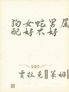 狗女蛇男属相婚配好不好