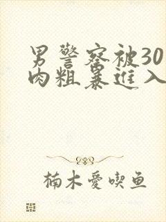 男警察被30㎝肉粗暴进入小说