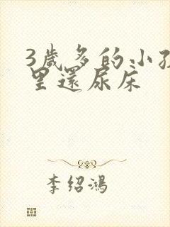 3岁多的小孩夜里还尿床