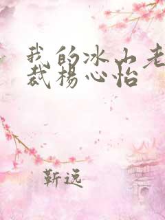 我的冰山老婆总裁杨心怡