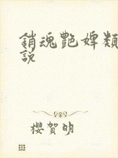 销魂艳婢类似小说