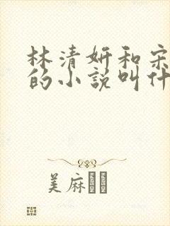 林清妍和宋言津的小说叫什么