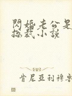 闪婚老公是千亿总裁小说