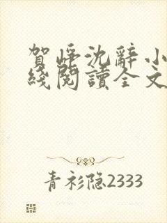 贺峥沈辞小说在线阅读全文无弹窗