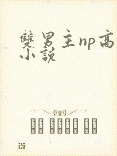 双男主np高h小说