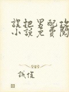 误把男配攻略了小说免费阅读