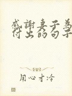 感谢妻子为家庭付出的句子