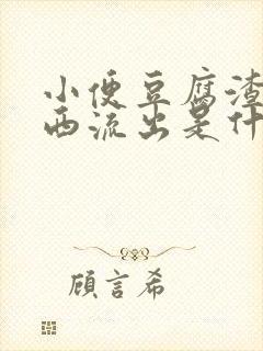 小便豆腐渣样东西流出是什么情况