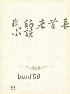 我的老首长同志小说