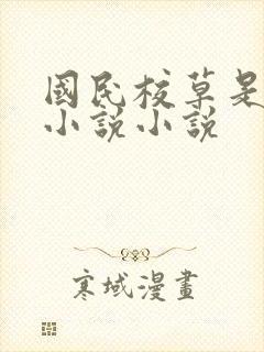 国民校草是女生小说小说