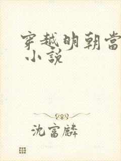 穿越明朝当暴君 小说