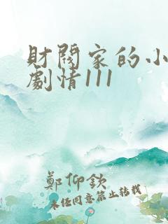财阀家的小儿子剧情111