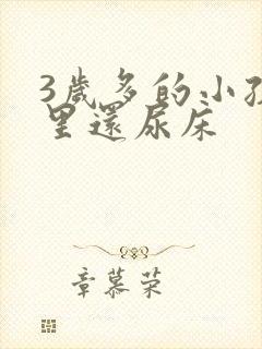 3岁多的小孩夜里还尿床