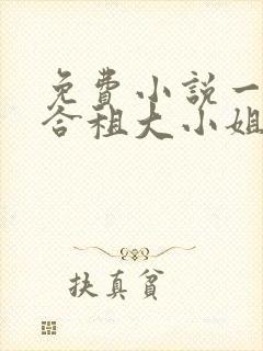 免费小说一我的合租大小姐