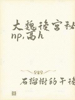 大魏后宫秘史(np,高h