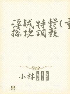 淫贼特辑(重口总攻调教