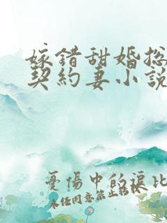 嫁错甜婚总裁的契约妻小说